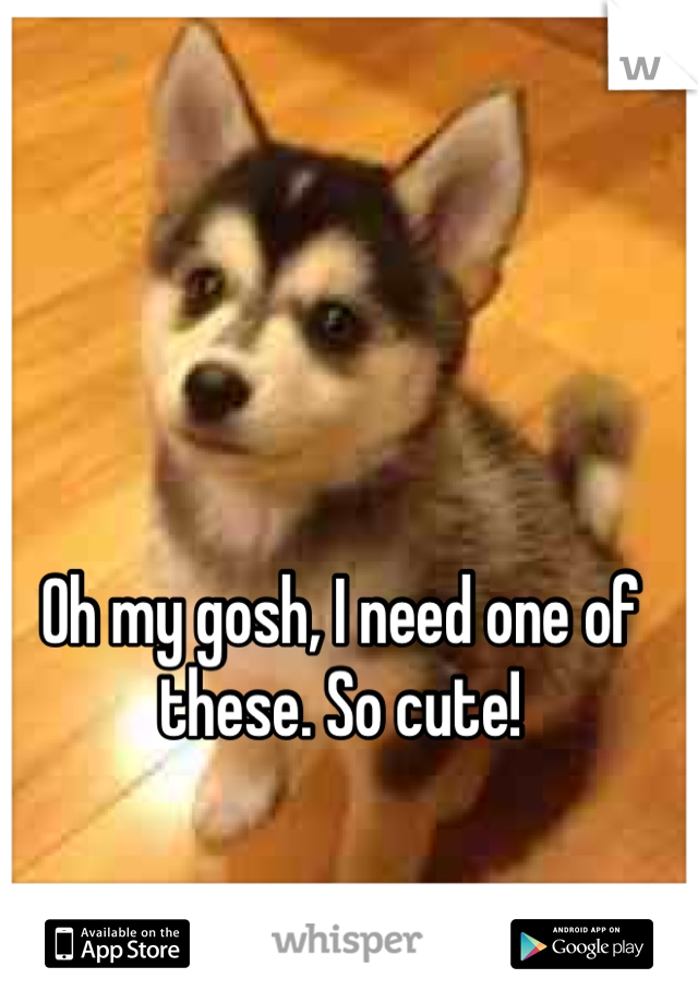 Oh my gosh, I need one of these. So cute!
