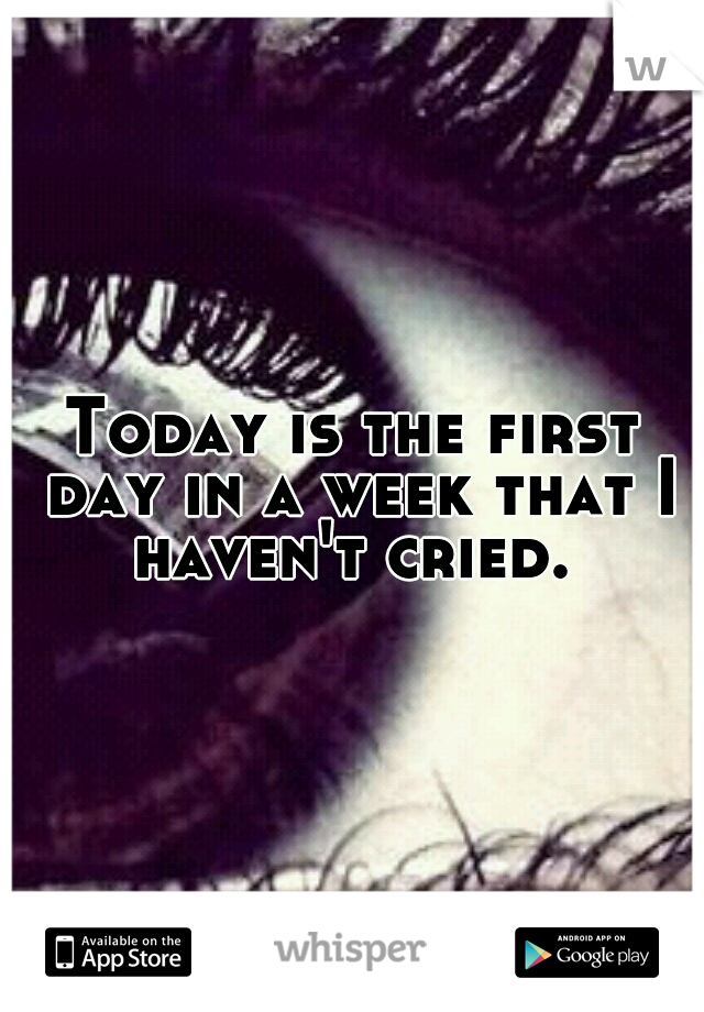 Today is the first day in a week that I haven't cried. 