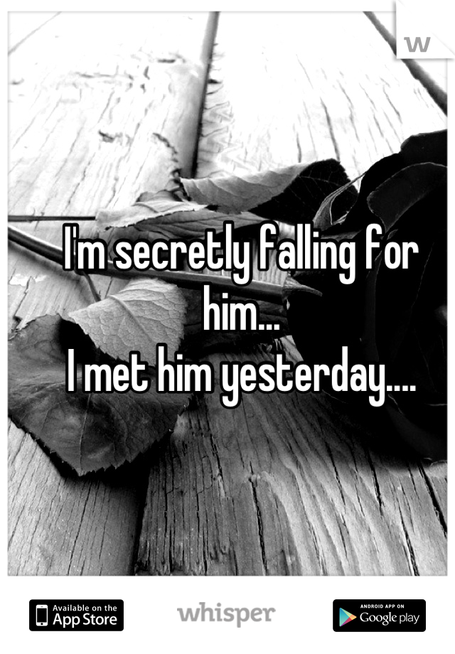 I'm secretly falling for him...
I met him yesterday....