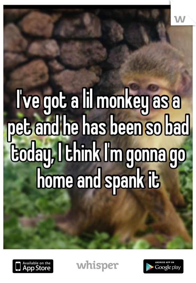 I've got a lil monkey as a pet and he has been so bad today, I think I'm gonna go home and spank it