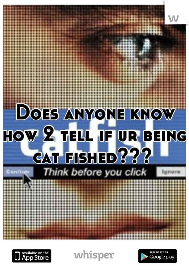 Does anyone know how 2 tell if ur being cat fished??? 