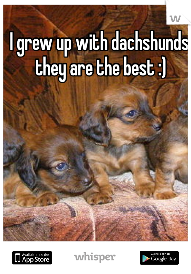 I grew up with dachshunds, they are the best :) 