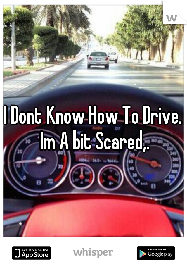 I Dont Know How To Drive. Im A bit Scared,.