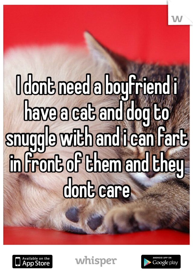 I dont need a boyfriend i have a cat and dog to snuggle with and i can fart in front of them and they dont care 