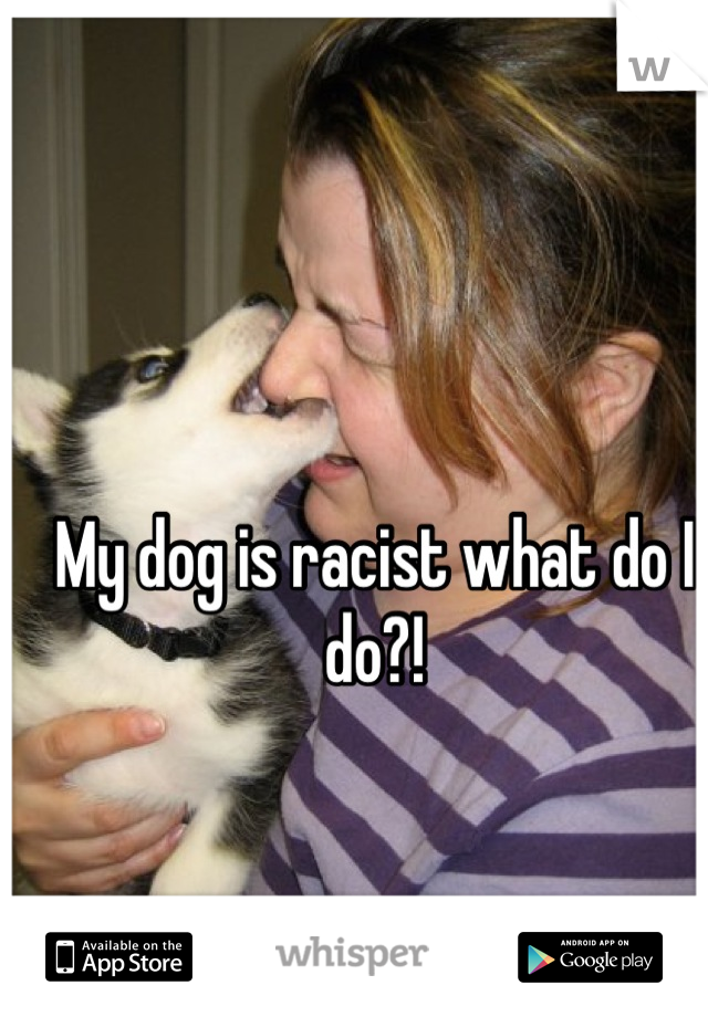 My dog is racist what do I do?!