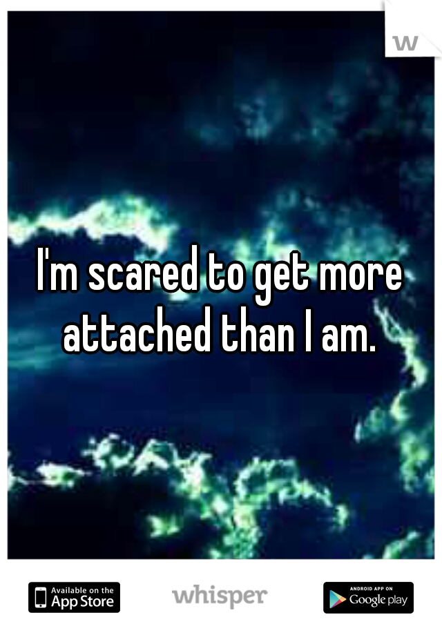 I'm scared to get more attached than I am. 
