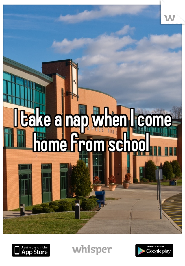 I take a nap when I come home from school 