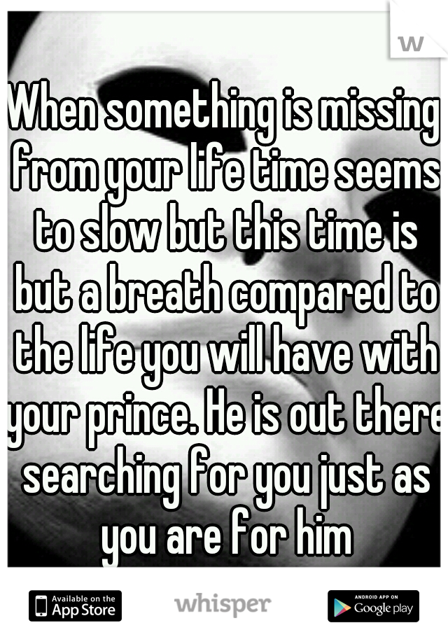 When something is missing from your life time seems to slow but this time is but a breath compared to the life you will have with your prince. He is out there searching for you just as you are for him