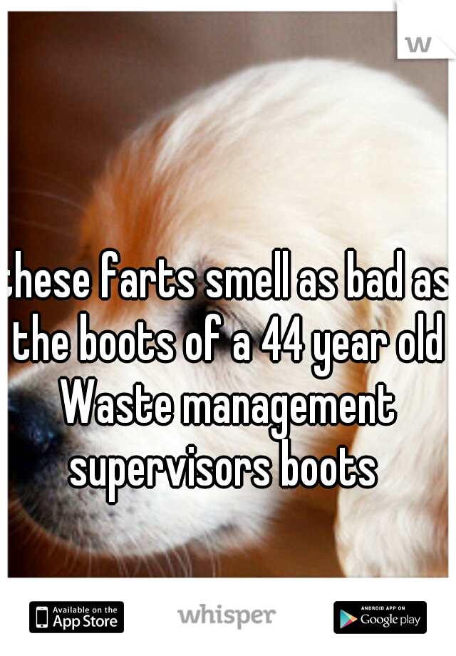these farts smell as bad as the boots of a 44 year old Waste management supervisors boots 