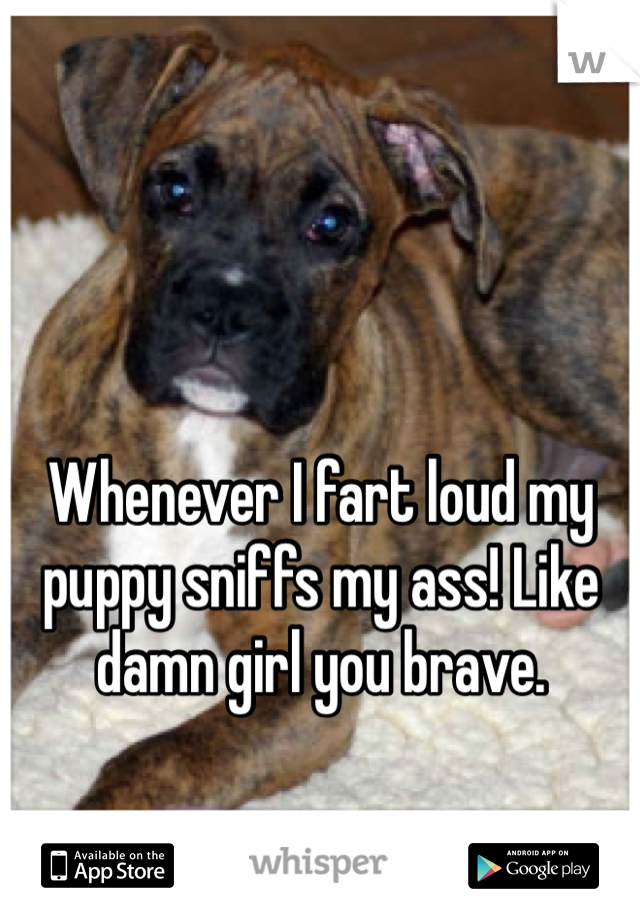 Whenever I fart loud my puppy sniffs my ass! Like damn girl you brave.