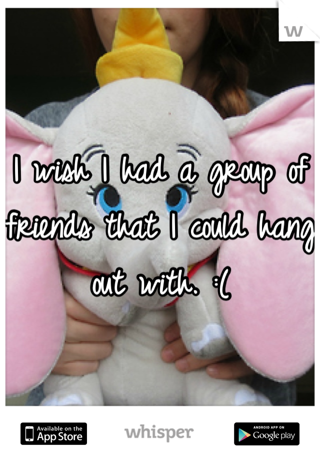 I wish I had a group of friends that I could hang out with. :(