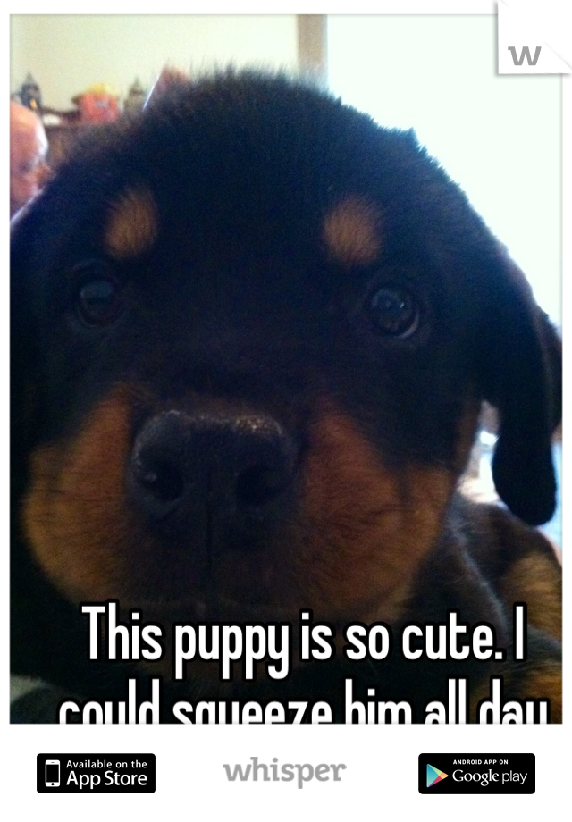 This puppy is so cute. I could squeeze him all day long! :D