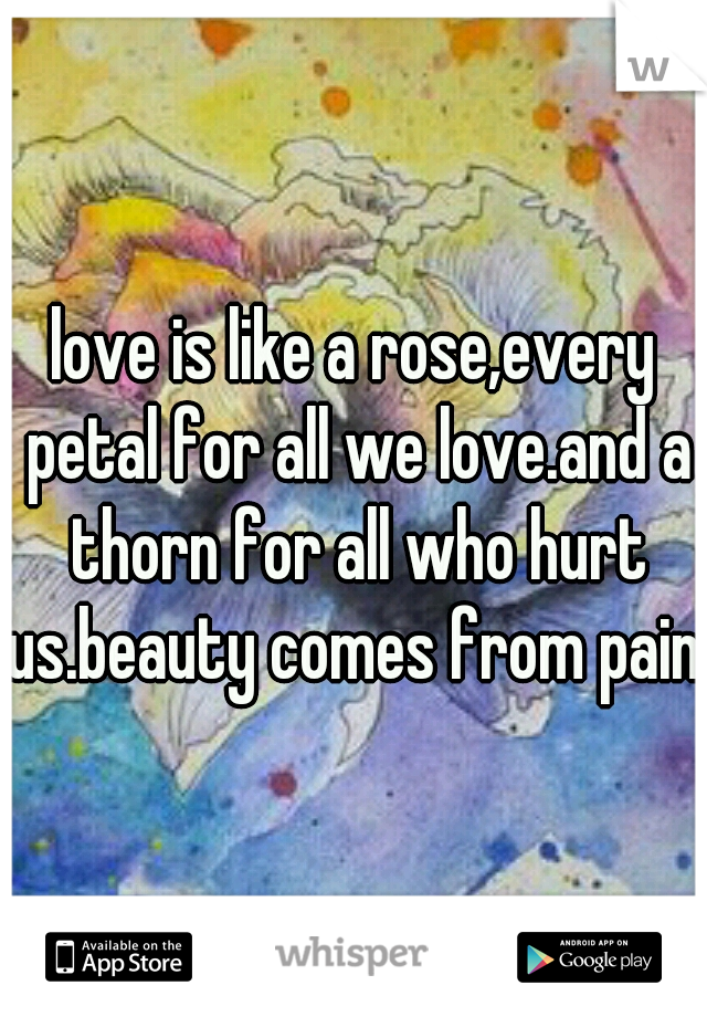 love is like a rose,every petal for all we love.and a thorn for all who hurt us.beauty comes from pain.