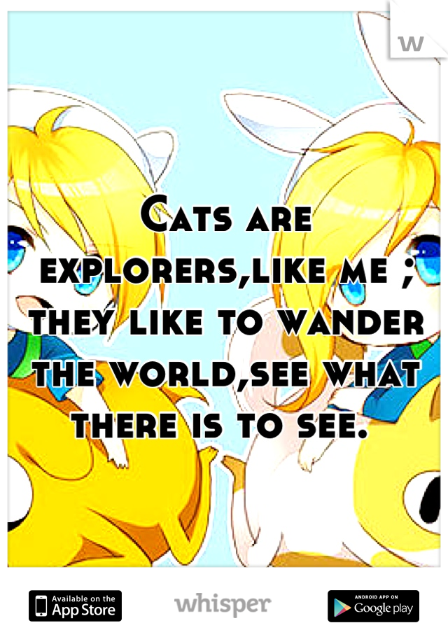 Cats are explorers,like me ; they like to wander the world,see what there is to see. 
