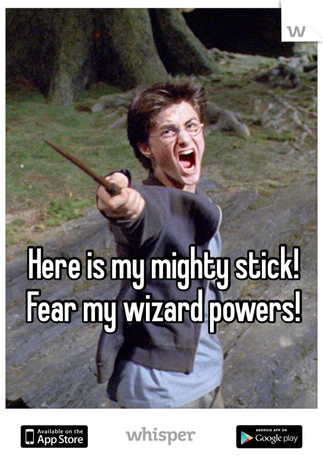 Here is my mighty stick! 
Fear my wizard powers!