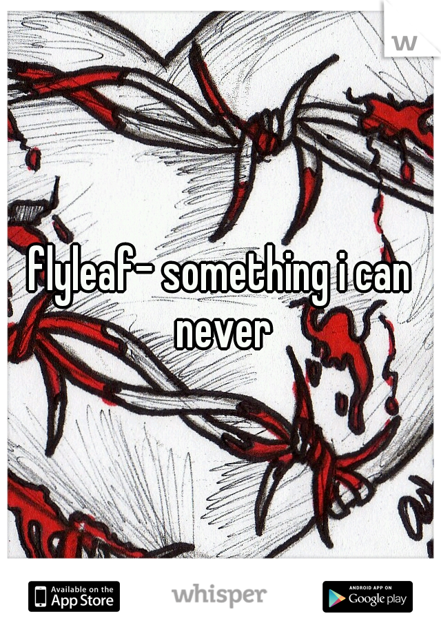flyleaf- something i can never