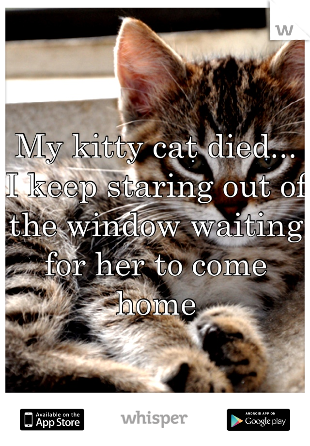 My kitty cat died... 
I keep staring out of the window waiting for her to come home