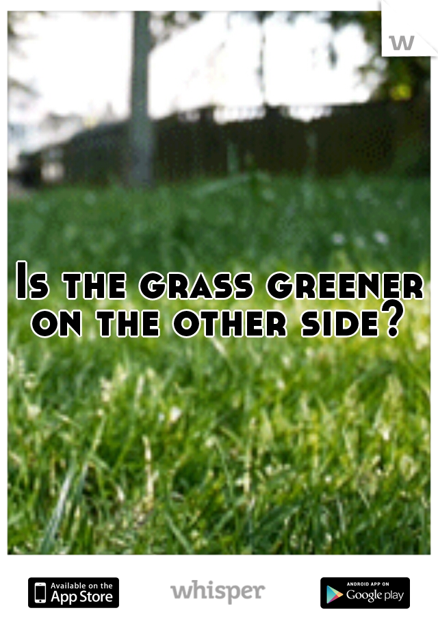 Is the grass greener on the other side? 