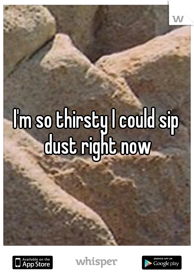 I'm so thirsty I could sip dust right now