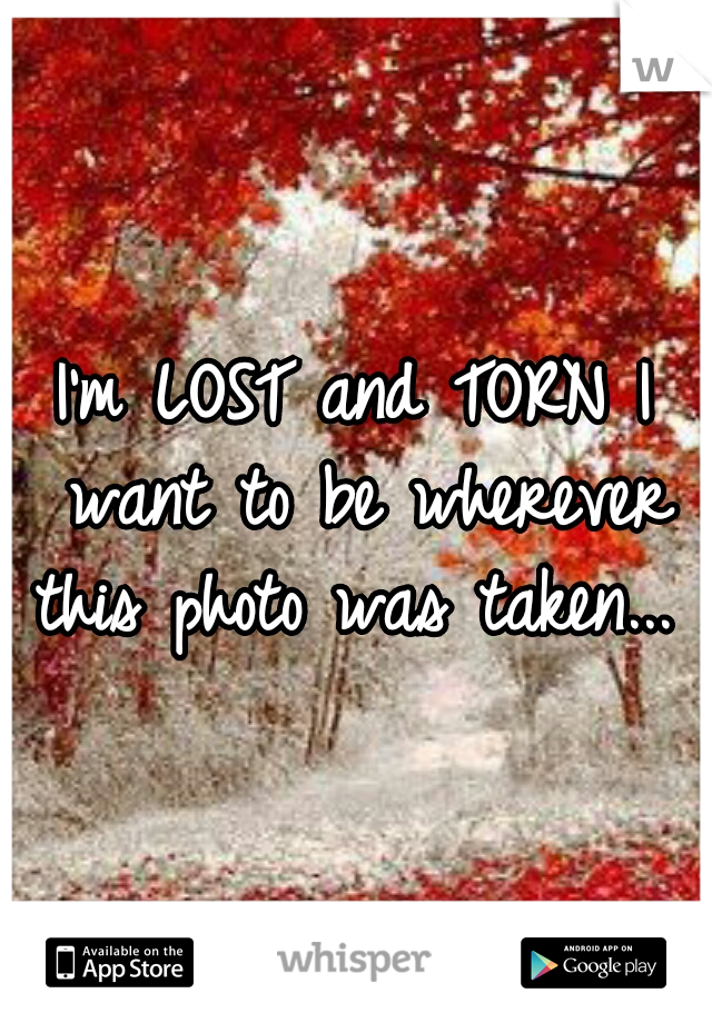 I'm LOST and TORN
I want to be wherever this photo was taken...
