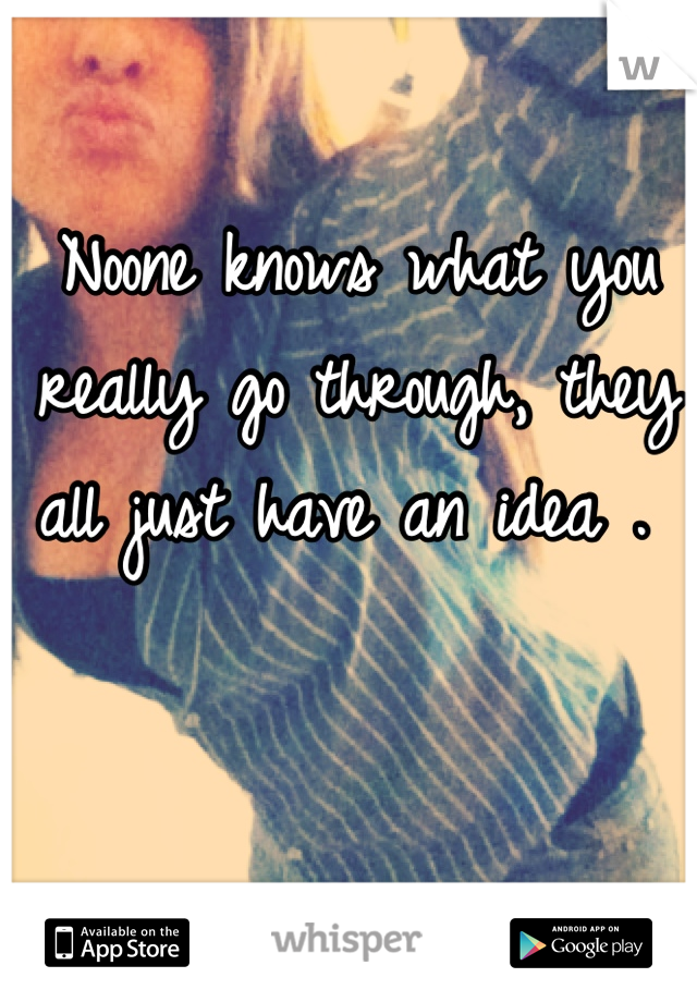 Noone knows what you 
really go through, they 
all just have an idea . 