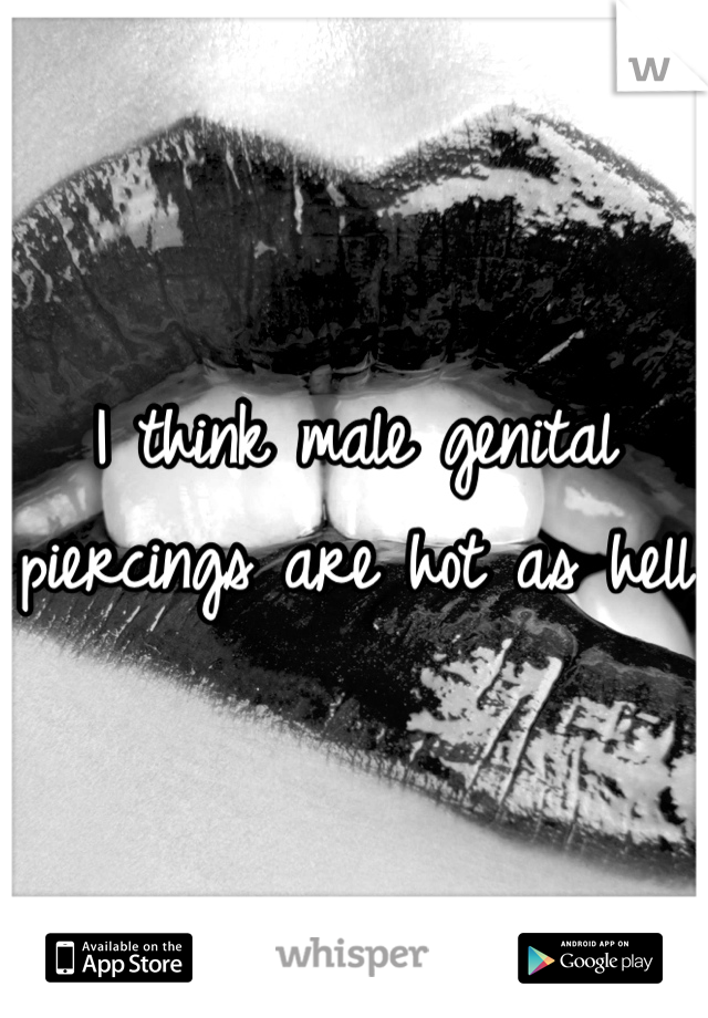 I think male genital piercings are hot as hell