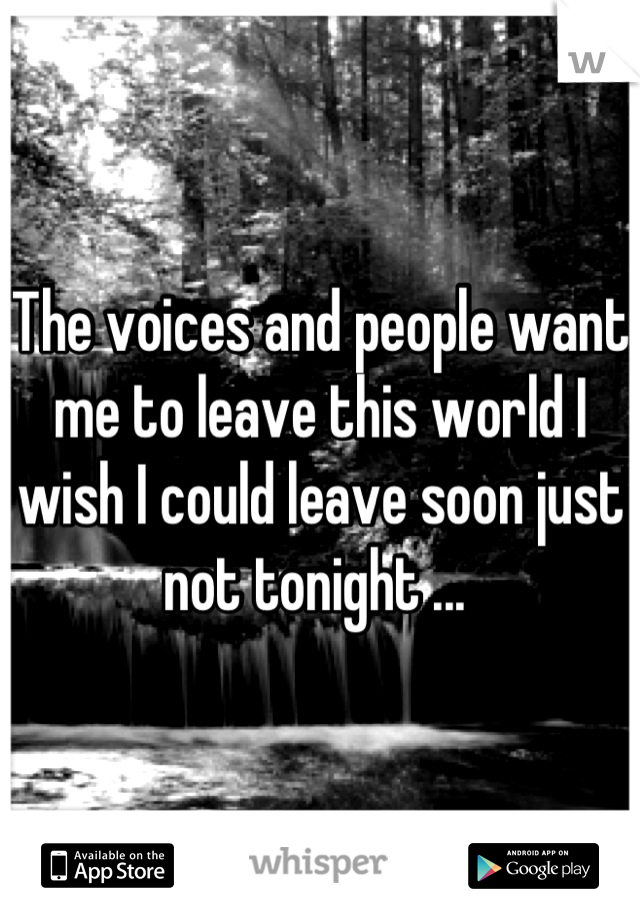 The voices and people want me to leave this world I wish I could leave soon just not tonight ... 
