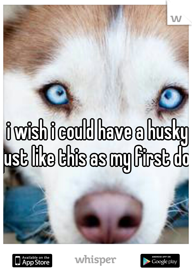 i wish i could have a husky just like this as my first dog 