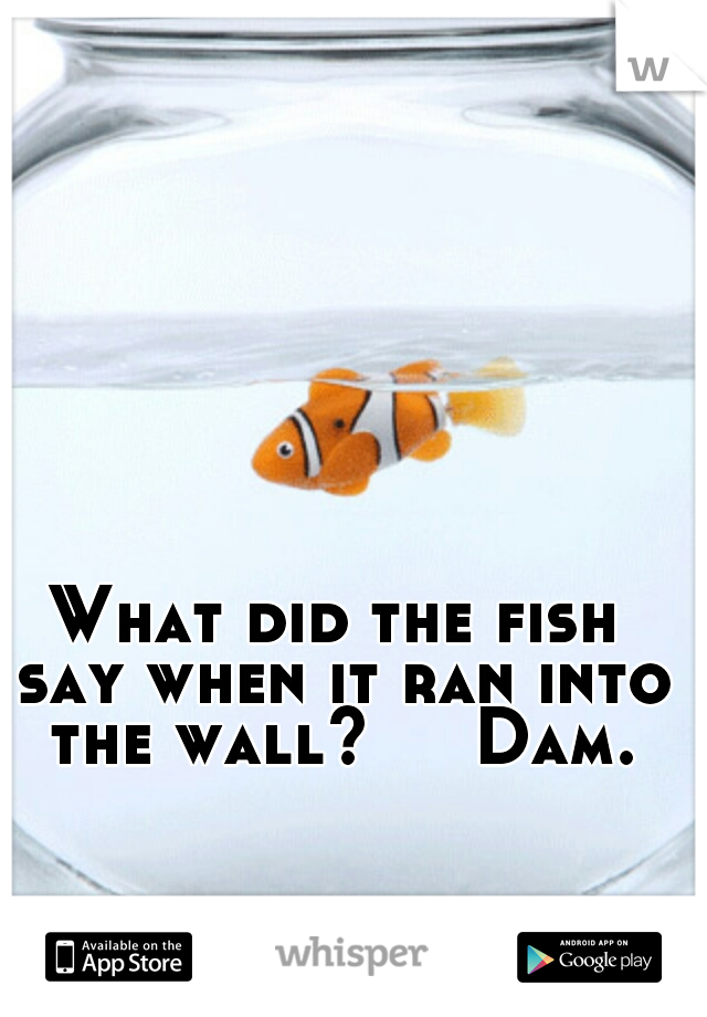 What did the fish say when it ran into the wall?     Dam.