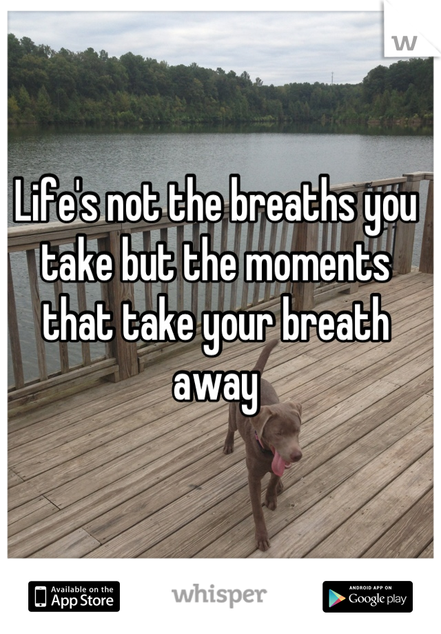 Life's not the breaths you take but the moments that take your breath away