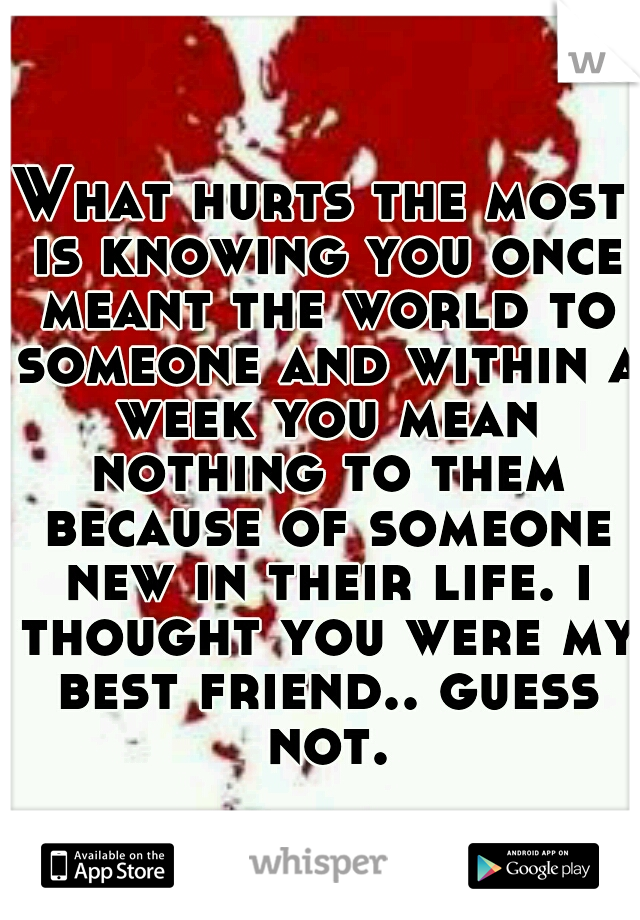 What hurts the most is knowing you once meant the world to someone and within a week you mean nothing to them because of someone new in their life. i thought you were my best friend.. guess not.