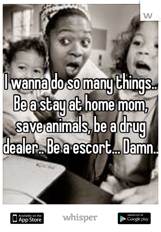 I wanna do so many things.. Be a stay at home mom, save animals, be a drug dealer.. Be a escort... Damn..