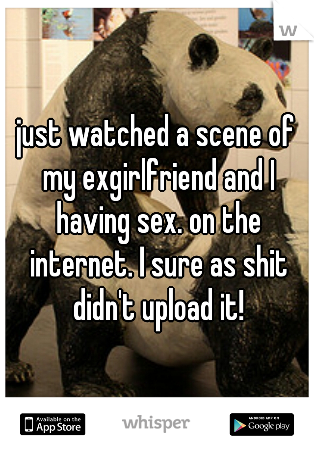 just watched a scene of my exgirlfriend and I having sex. on the internet. I sure as shit didn't upload it!