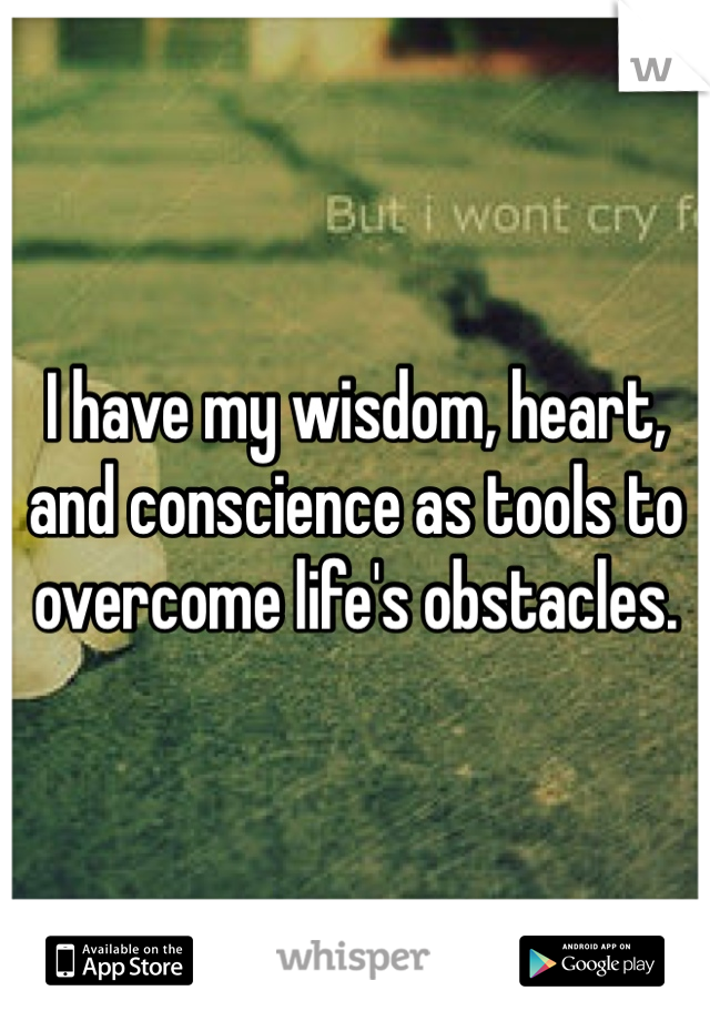 I have my wisdom, heart, and conscience as tools to overcome life's obstacles. 