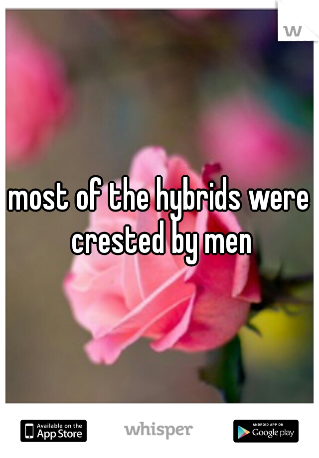 most of the hybrids were crested by men