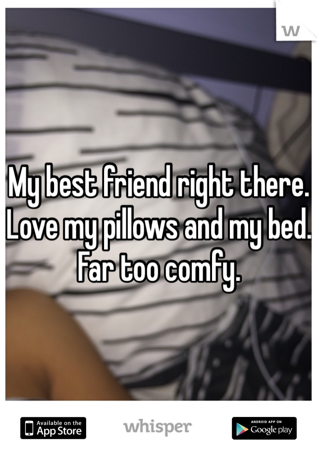 My best friend right there. Love my pillows and my bed. Far too comfy. 