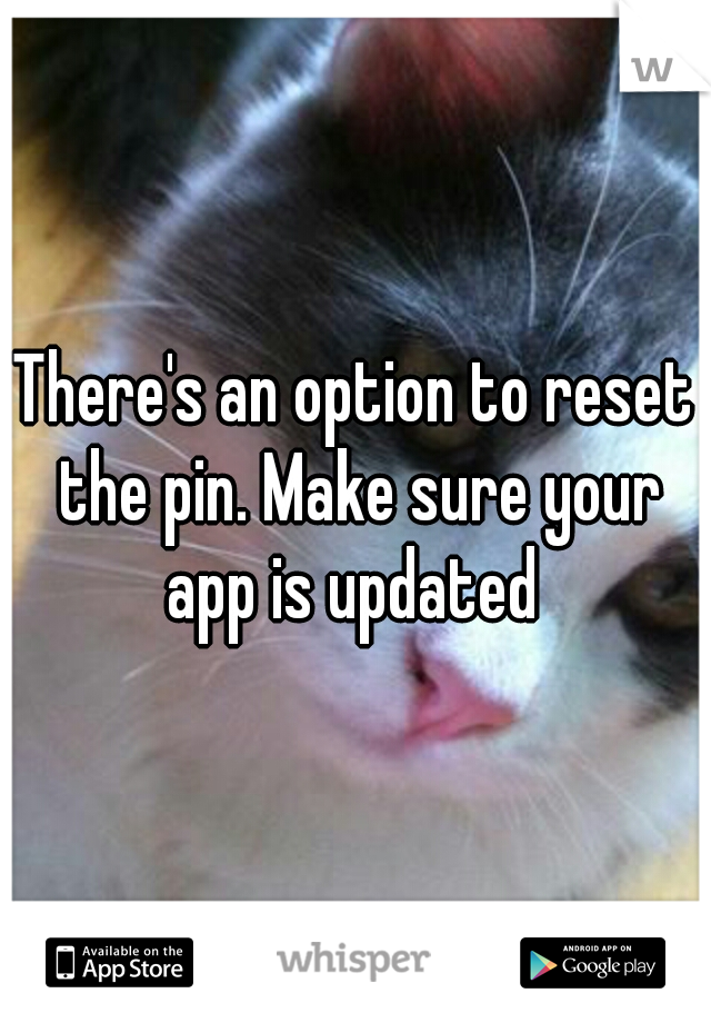There's an option to reset the pin. Make sure your app is updated 