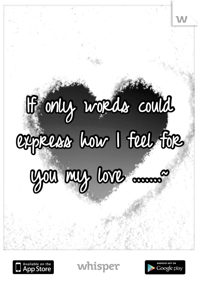 If only words could express how I feel for you my love .......~