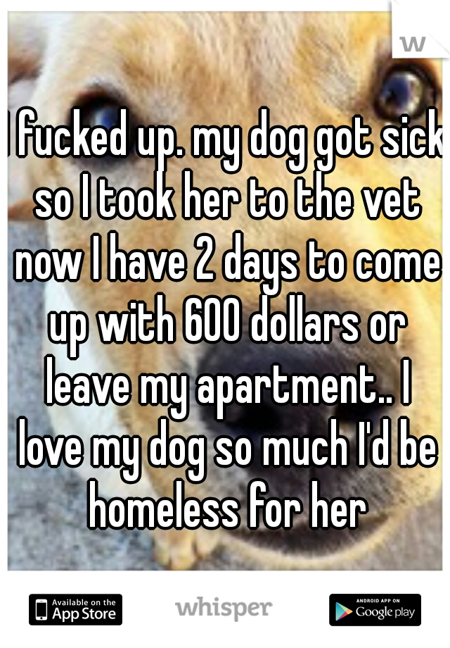 I fucked up. my dog got sick so I took her to the vet now I have 2 days to come up with 600 dollars or leave my apartment.. I love my dog so much I'd be homeless for her
