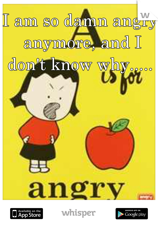 I am so damn angry anymore, and I don't know why..... 