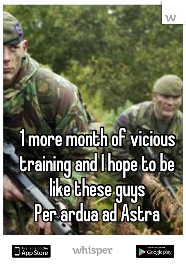 1 more month of vicious training and I hope to be like these guys
Per ardua ad Astra
