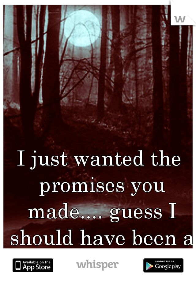 I just wanted the promises you made.... guess I should have been a little more like her. 