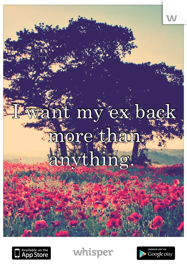 I want my ex back more than anything. 