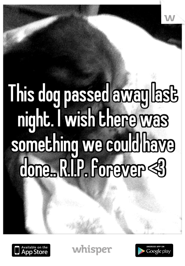 This dog passed away last night. I wish there was something we could have done.. R.I.P. forever <3