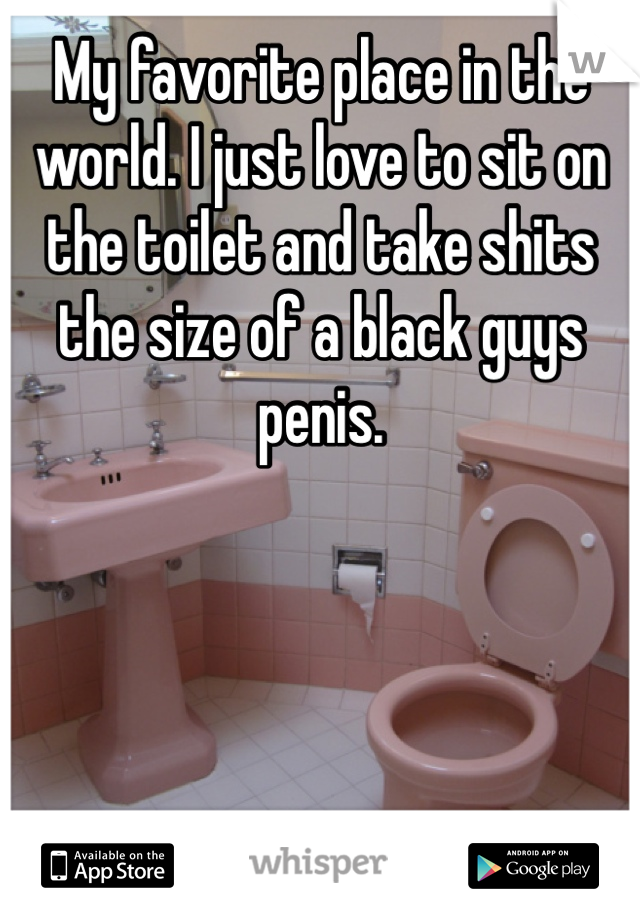 My favorite place in the world. I just love to sit on the toilet and take shits the size of a black guys penis.