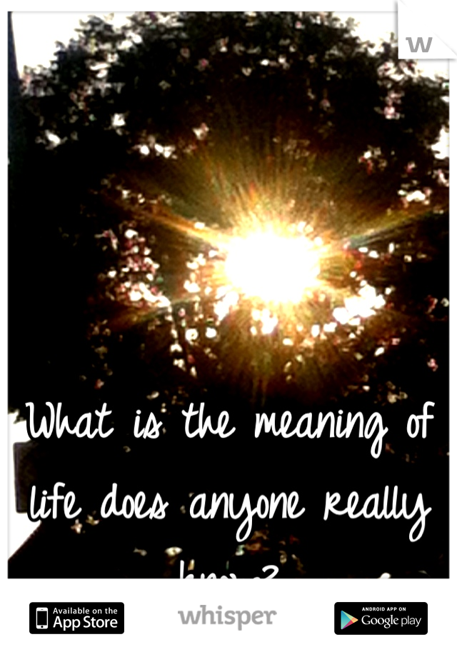 What is the meaning of life does anyone really know?
