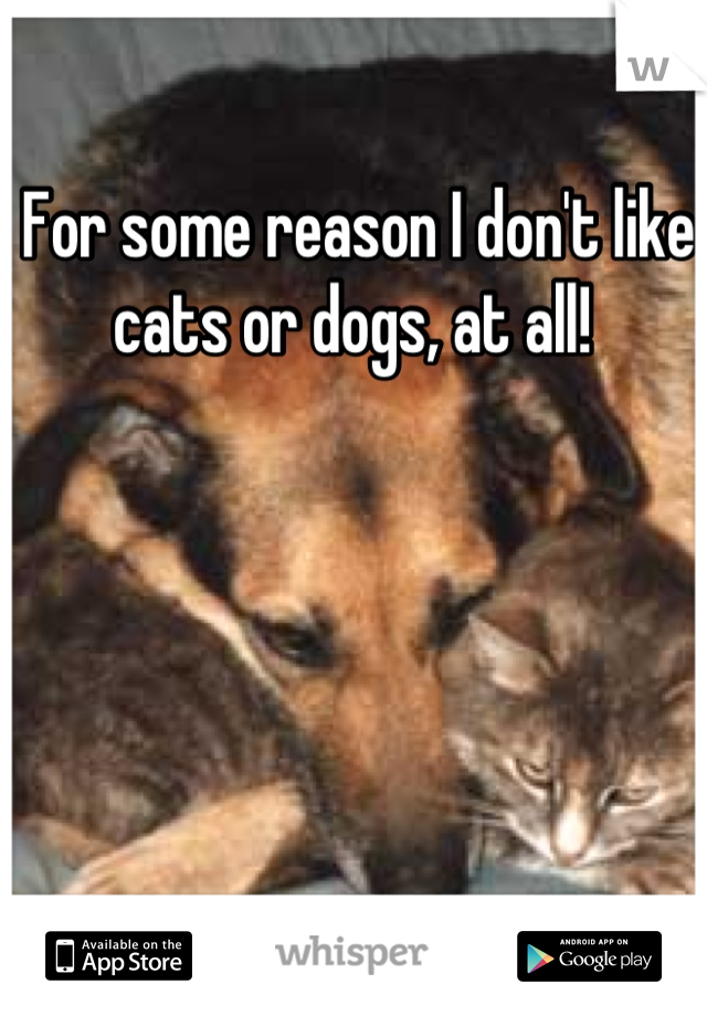 For some reason I don't like cats or dogs, at all! 