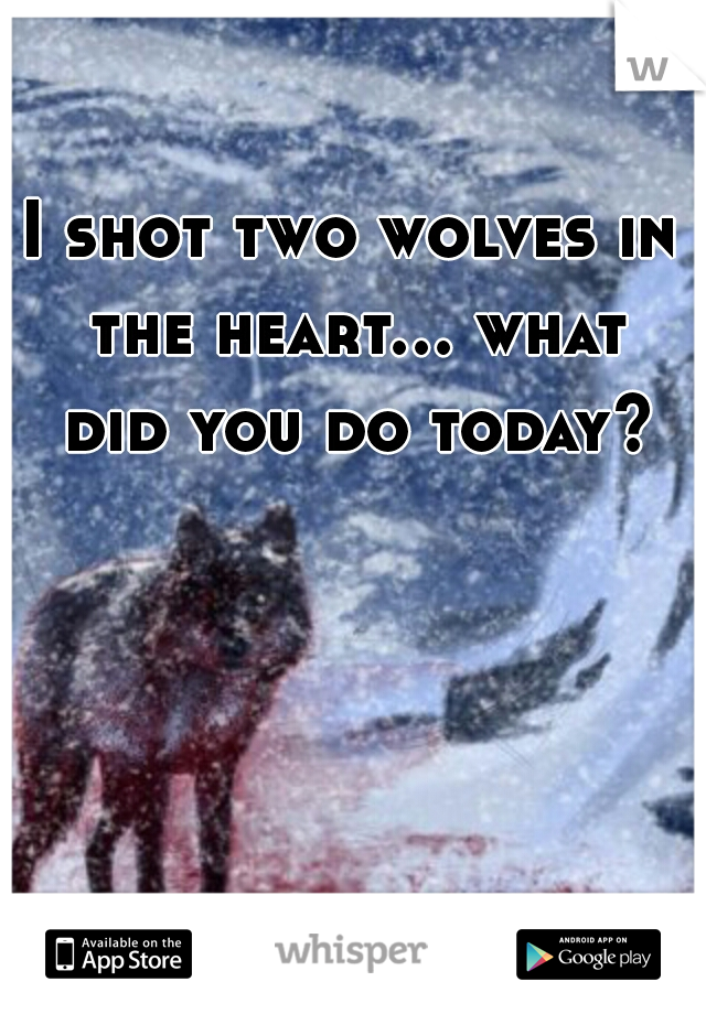 I shot two wolves in the heart... what did you do today?