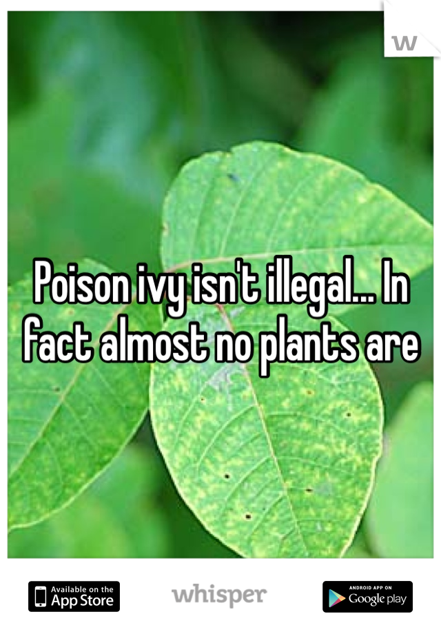 Poison ivy isn't illegal... In fact almost no plants are