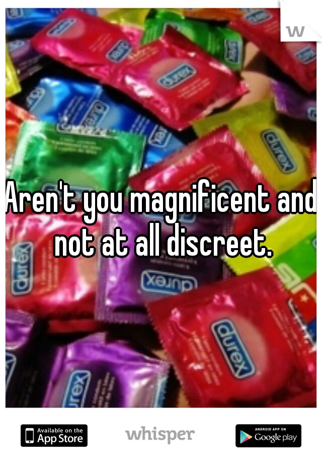 Aren't you magnificent and not at all discreet.